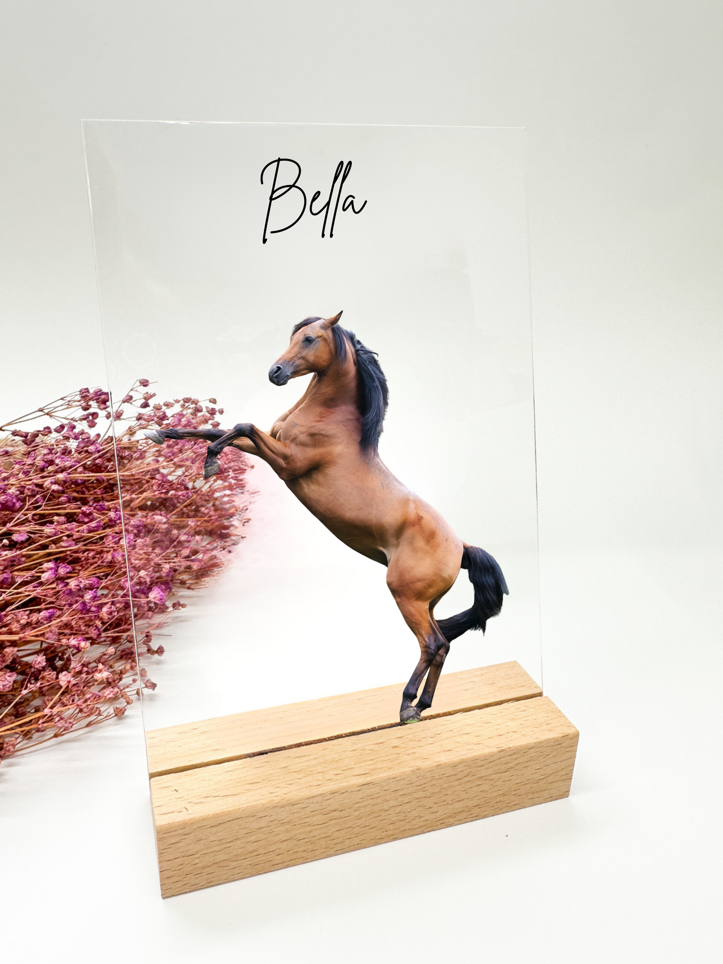 Tierfoto auf Acrylglas | Geburtstageschenk | Geschenk zum Geburtstags | Geschenk Tierliebhaber