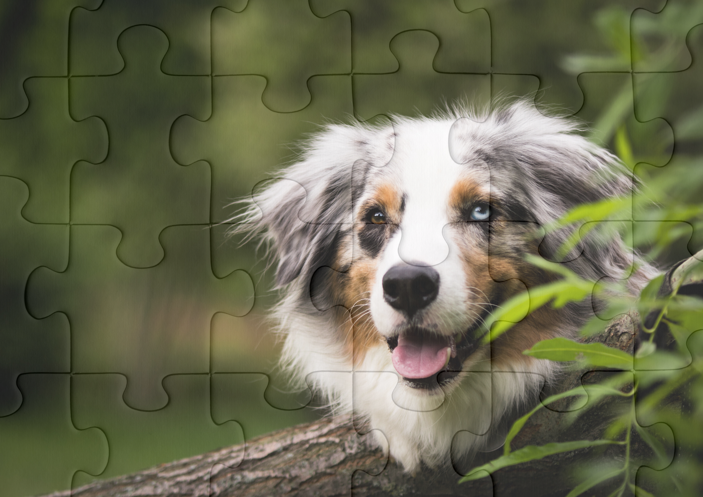 Personalisiertes Puzzle Geschenk | Foto auf Puzzle | Individuelles eigenes Bild auf deinem Puzzle