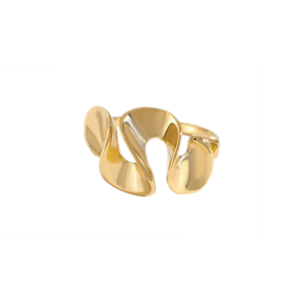 Twist With Me Ring aus Edelstahl