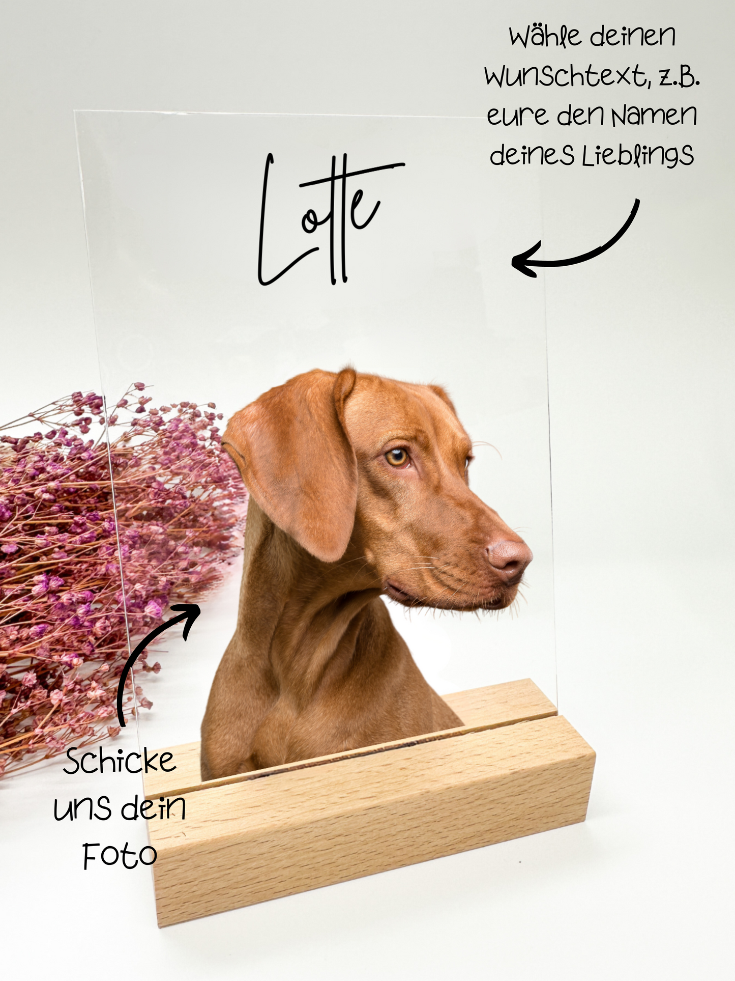 Tierfoto auf Acrylglas/Geburtstageschenk/Geschenk zum Geburtstags/ Geschenk Tierliebhaber