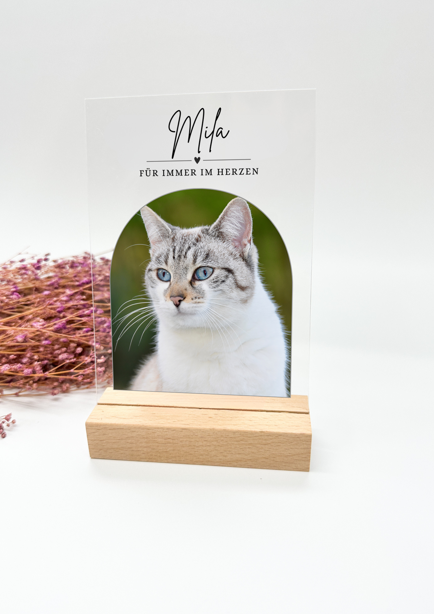 Tierfoto auf AcrylAndenken an Haustier/Hund/Katze/Pferd/Geschenk zum Geburtstags/ Geschenk Tierliebhaber