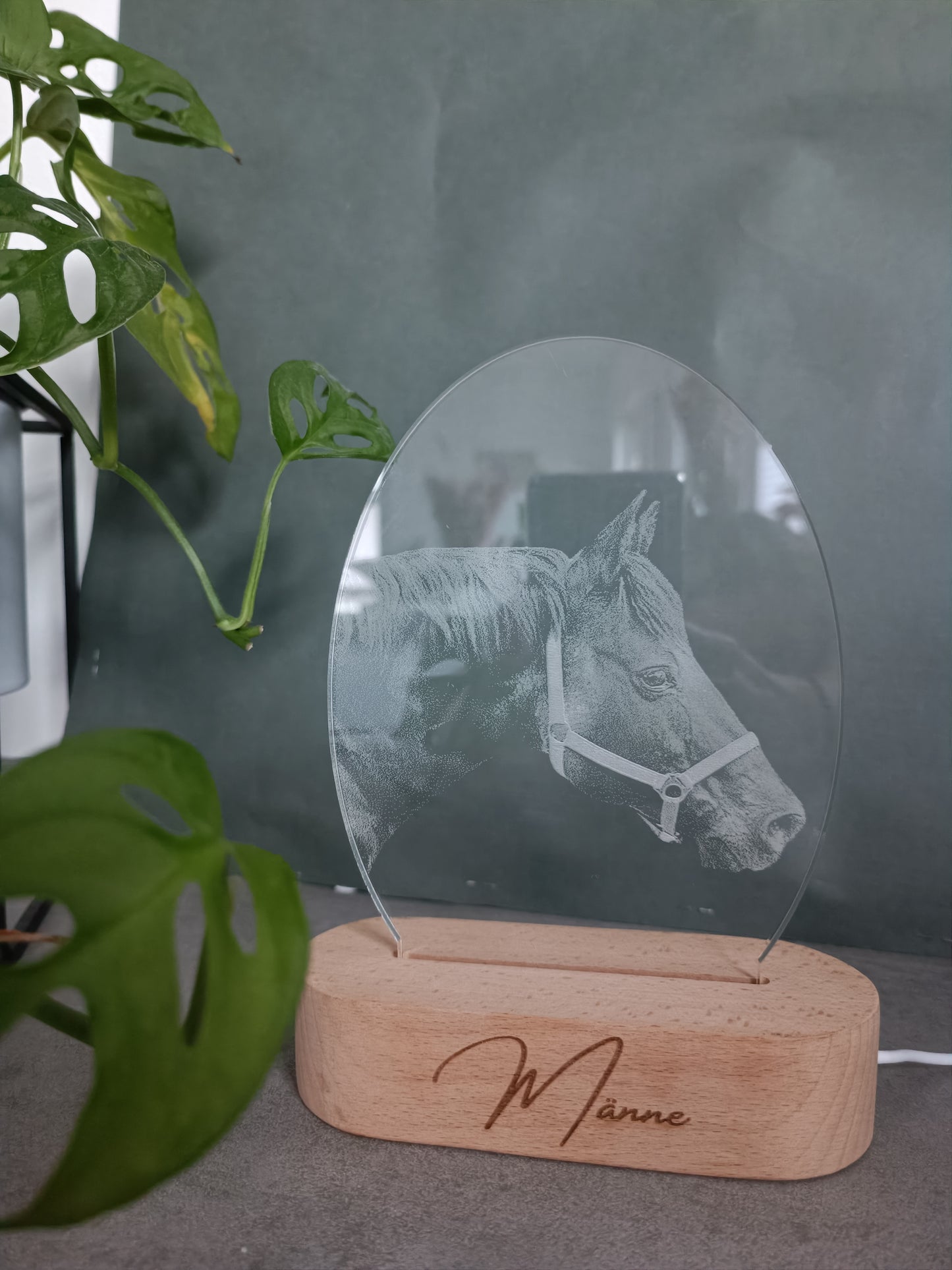 personalisierte fotogravur auf acrylglas/plexiglas mit led sockel